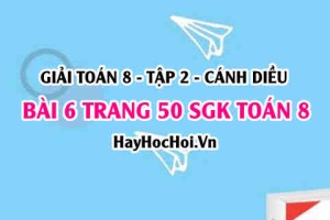Bài 6 trang 50 Toán 8 Tập 2 Cánh Diều